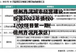 德州齐河城市经营建设投资2022年债权01/02项目第一期(德州齐河开发区)