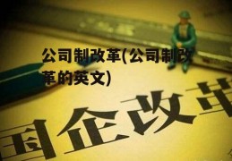 公司制改革(公司制改革的英文)