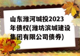 山东潍河城投2023年债权(潍坊滨城建设集团有限公司债券)