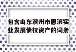 包含山东滨州市惠滨实业发展债权资产的词条