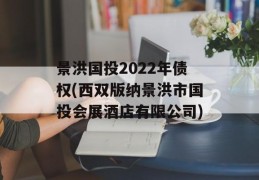 景洪国投2022年债权(西双版纳景洪市国投会展酒店有限公司)