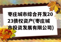 枣庄城市综合开发2023债权资产(枣庄城市投资发展有限公司)