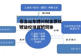 包含山东博兴财金债权收益权项目的词条