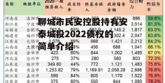 聊城市民安控股持有安泰城投2022债权的简单介绍