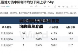 城投债网站精选项目查询的简单介绍