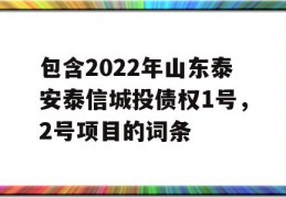 包含2022年山东泰安泰信城投债权1号，2号项目的词条