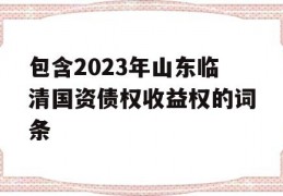 包含2023年山东临清国资债权收益权的词条