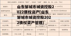 山东邹城市城资控股2022债权资产(山东邹城市城资控股2022债权资产管理)