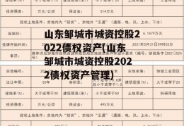 山东邹城市城资控股2022债权资产(山东邹城市城资控股2022债权资产管理)