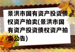 景洪市国有资产投资债权资产拍卖(景洪市国有资产投资债权资产拍卖公告)