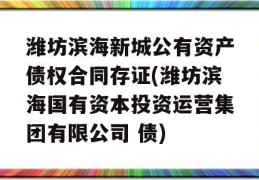 潍坊滨海新城公有资产债权合同存证(潍坊滨海国有资本投资运营集团有限公司 债)