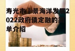 寿光市昇景海洋发展2022政府债定融的简单介绍