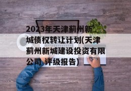 2023年天津蓟州新城债权转让计划(天津蓟州新城建设投资有限公司 评级报告)