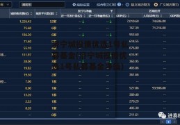 济宁城投债优选1号私募基金(济宁城投债优选1号私募基金净值)