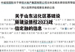 关于山东沾化区基础设施建设债权2023政信定融的信息