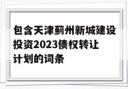 包含天津蓟州新城建设投资2023债权转让计划的词条