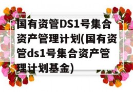 国有资管DS1号集合资产管理计划(国有资管ds1号集合资产管理计划基金)