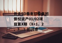 包含SD泰丰控股集团债权资产01/02项目第X期（X=1、2、3...）的词条