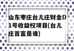 山东枣庄台儿庄财金D1号收益权项目(台儿庄首富是谁)