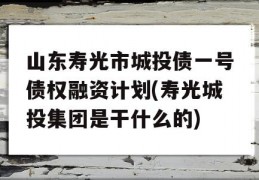 山东寿光市城投债一号债权融资计划(寿光城投集团是干什么的)