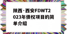 陕西·西安FDWT2023年债权项目的简单介绍