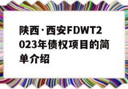 陕西·西安FDWT2023年债权项目的简单介绍