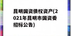 昆明国资债权资产(2021年昆明市国资委招标公告)