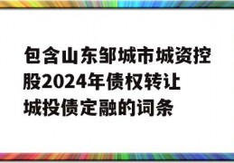 包含山东邹城市城资控股2024年债权转让城投债定融的词条