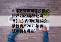 山东齐河城建城投债权资产2023年转让项目(山东齐河城建城投债权资产2023年转让项目有哪些)