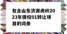 包含山东济源虎岭2023年债权01转让项目的词条