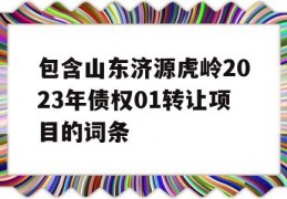 包含山东济源虎岭2023年债权01转让项目的词条