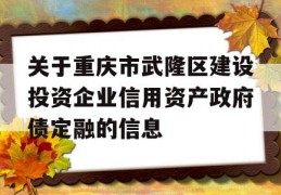 关于重庆市武隆区建设投资企业信用资产政府债定融的信息