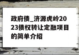 政府债_济源虎岭2023债权转让定融项目的简单介绍