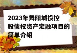 2023年舞阳城投控股债权资产定融项目的简单介绍