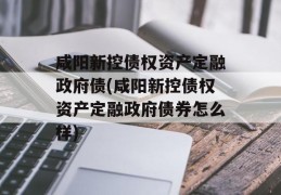 咸阳新控债权资产定融政府债(咸阳新控债权资产定融政府债券怎么样)