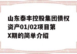 山东泰丰控股集团债权资产01/02项目第X期的简单介绍