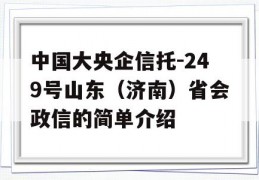 中国大央企信托-249号山东（济南）省会政信的简单介绍