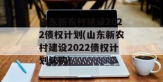 山东新农村建设2022债权计划(山东新农村建设2022债权计划认购)