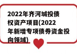 2022年齐河城投债权资产项目(2022年新增专项债券资金投向领域)