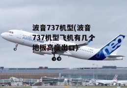 波音737机型(波音737机型飞机有几个地板高度出口)