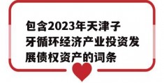 包含2023年天津子牙循环经济产业投资发展债权资产的词条