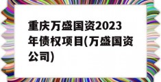 重庆万盛国资2023年债权项目(万盛国资公司)