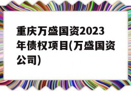 重庆万盛国资2023年债权项目(万盛国资公司)