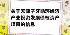 关于天津子牙循环经济产业投资发展债权资产项目的信息