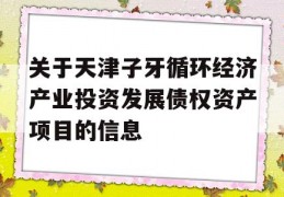 关于天津子牙循环经济产业投资发展债权资产项目的信息