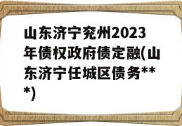 山东济宁兖州2023年债权政府债定融(山东济宁任城区债务***)