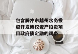 包含腾冲市越州水务投资开发债权资产拍卖项目政府债定融的词条