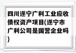 四川遂宁广利工业应收债权资产项目(遂宁市广利公司是国营企业吗)