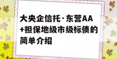 大央企信托·东营AA+担保地级市级标债的简单介绍