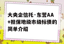 大央企信托·东营AA+担保地级市级标债的简单介绍